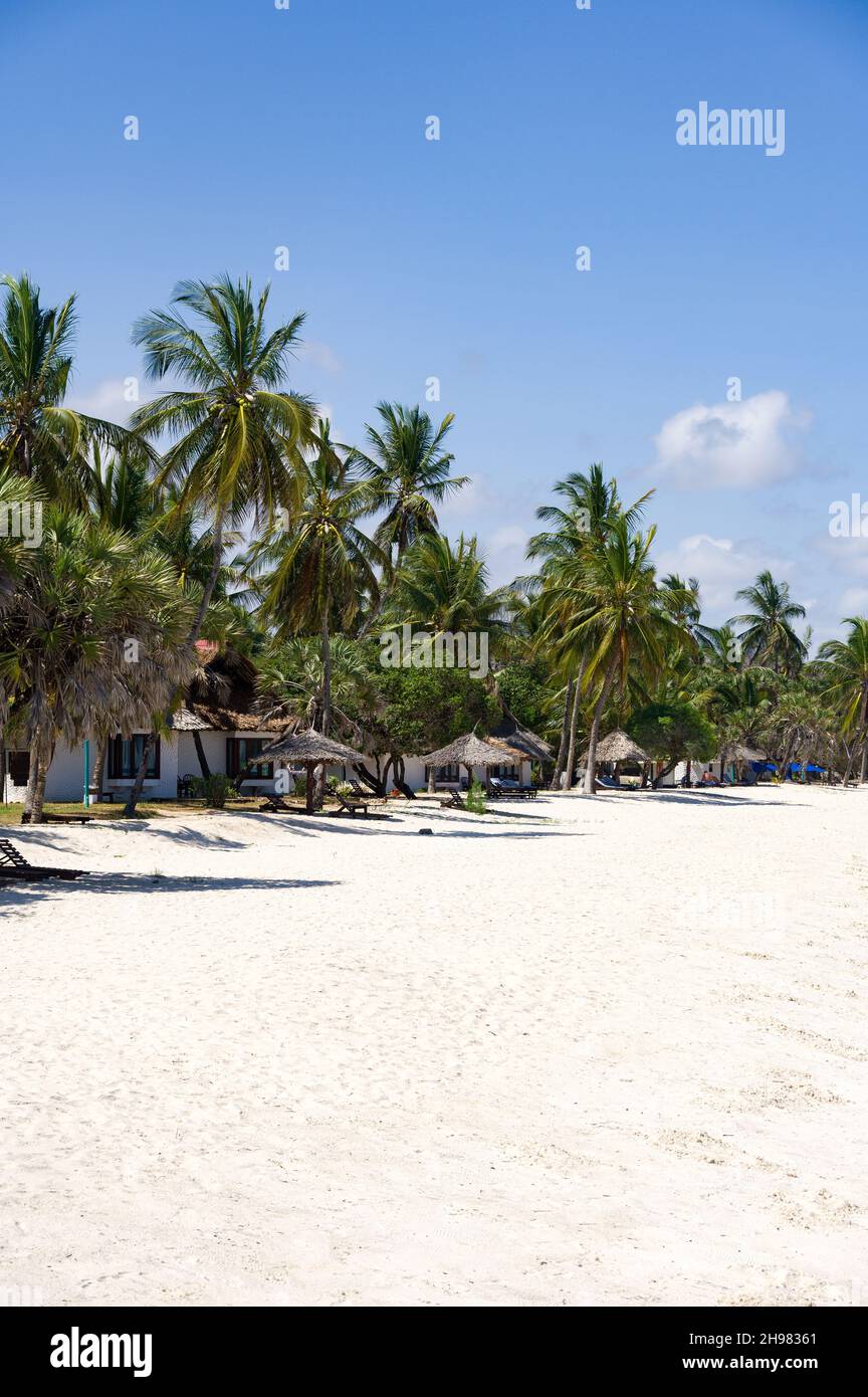 Chalets de plage au milieu des palmiers près de la plage par une journée ensoleillée, Diani, Kenya Banque D'Images