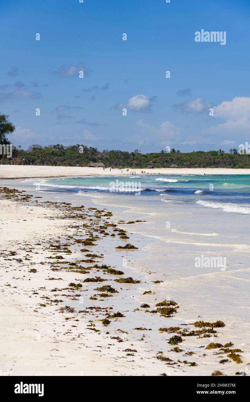 Vue sur la plage de Diani à marée basse avec algues le long de la rive, Kenya Banque D'Images