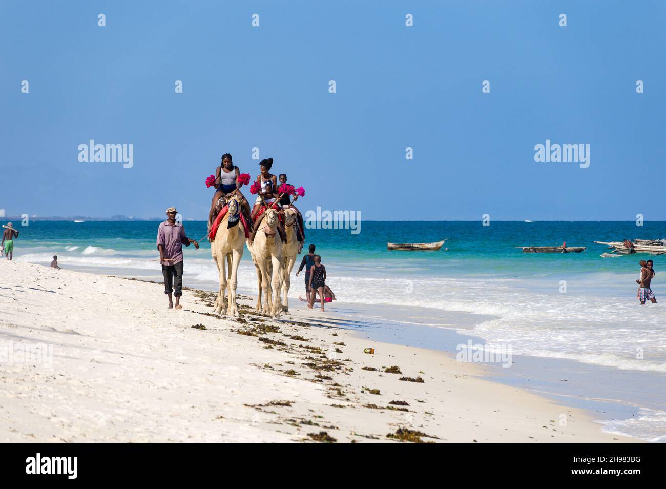 Enfants kenyans en train de faire des promenades à dos de chameau sur trois chameaux sur la plage au bord de l'océan Indien, Diani, Kenya Banque D'Images