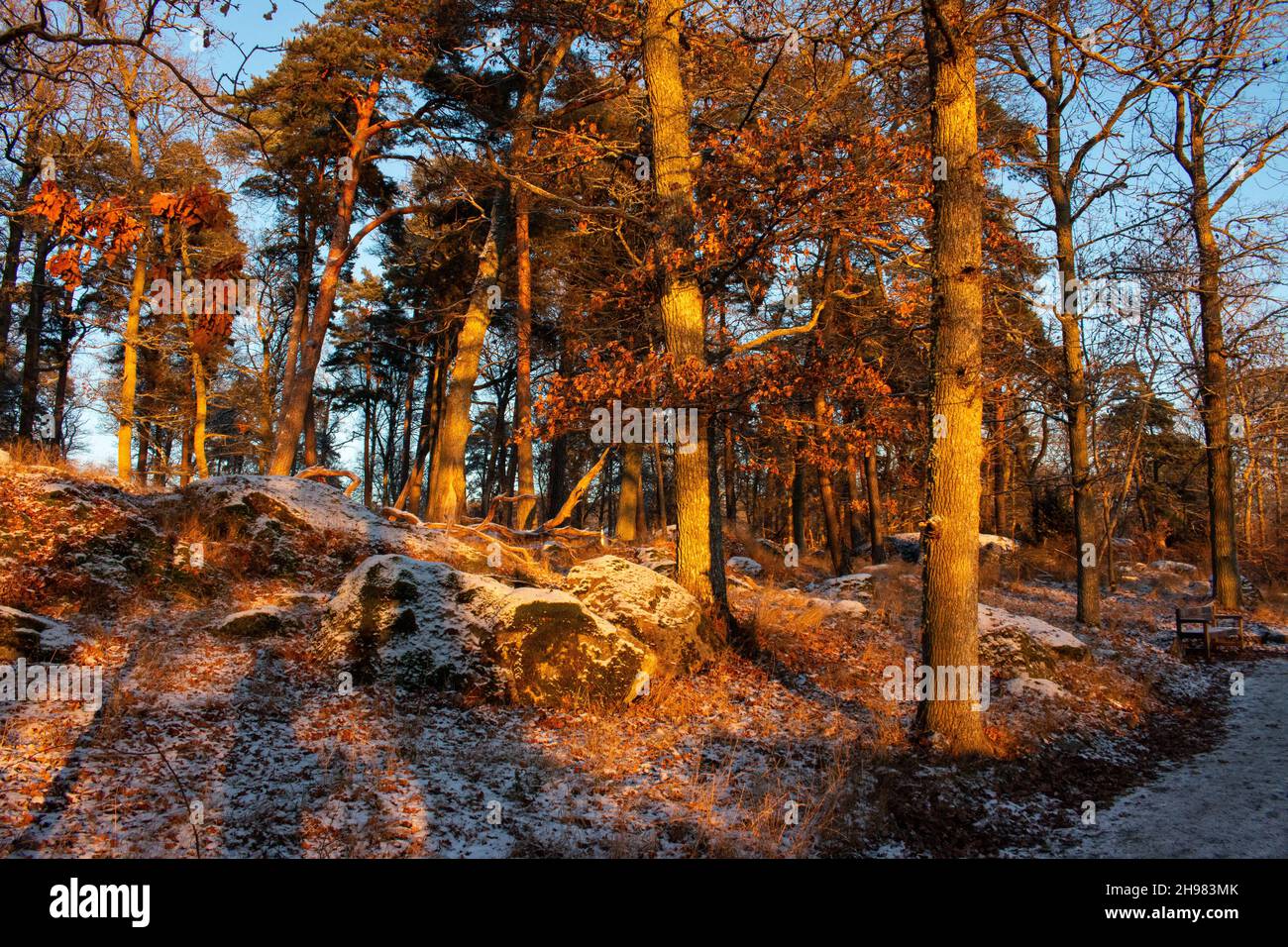 La promenade près du château de Wiks (ou château de Viks) sous le soleil suédois de basse hiver, décembre 2021, comté d'Uppsala, Suède Banque D'Images