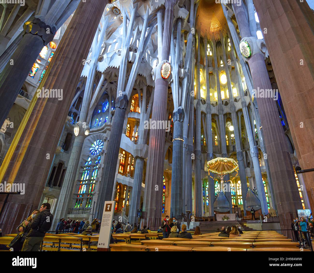 Barcelone, Espagne - 22 novembre 2021 : plafond intérieur de la basilique de la Sagrada Familia, Barcelone, Catalogne, Espagne Banque D'Images