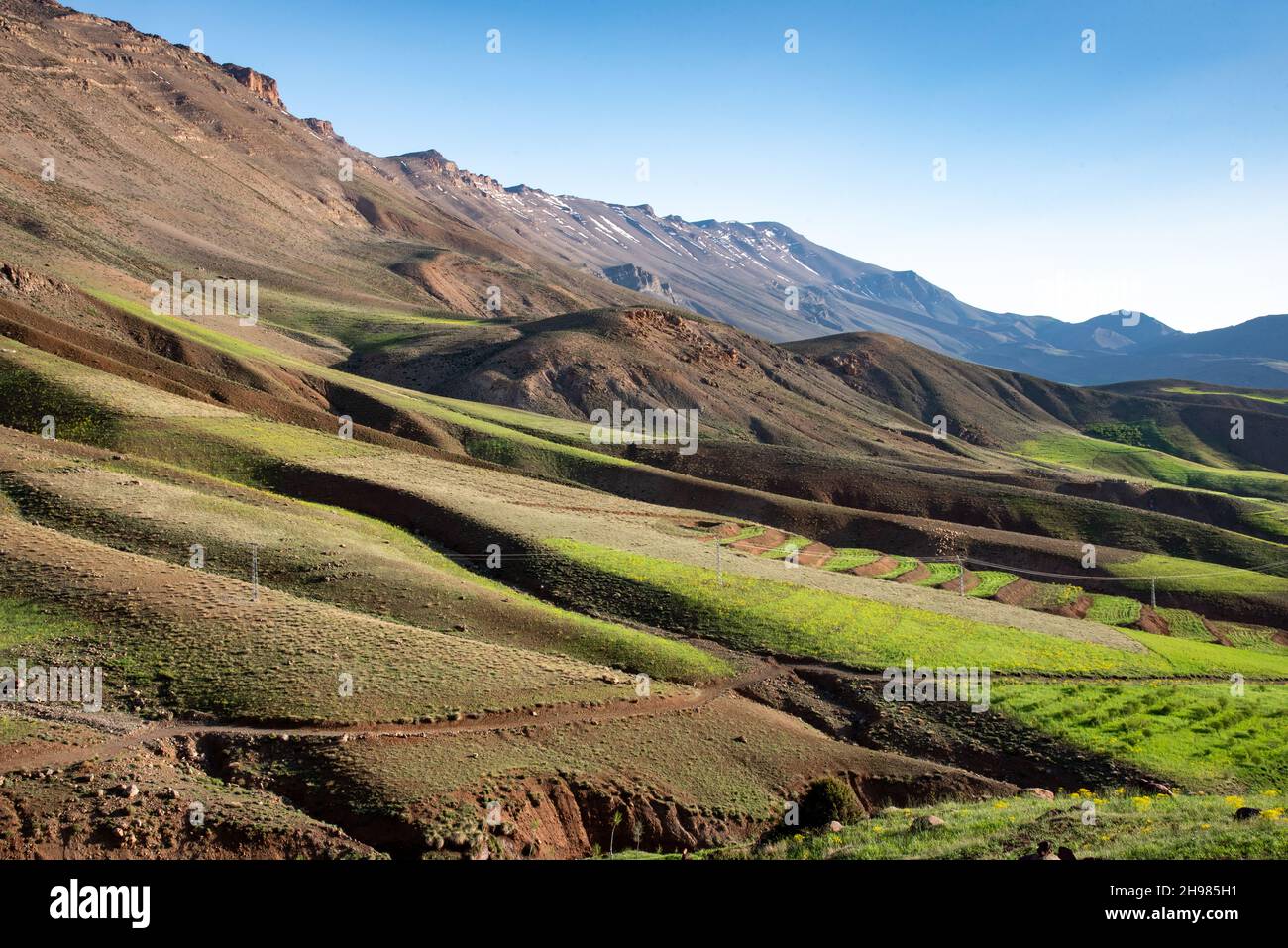 Dans les montagnes de l'Atlas au Maroc.Champs en terrasse sous des montagnes enneigées, sur le sentier Tizi n Tirghist Banque D'Images
