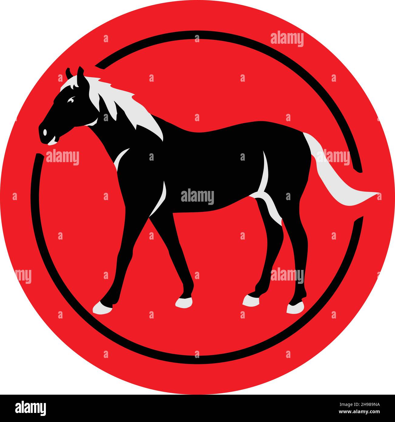 Horse anatomy illustration Banque de photographies et d’images à haute ...
