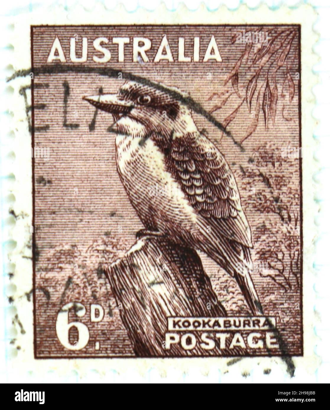 Photo d'un ancien timbre-poste australien marron de 6d avec une illustration d'un Kookaburra Banque D'Images