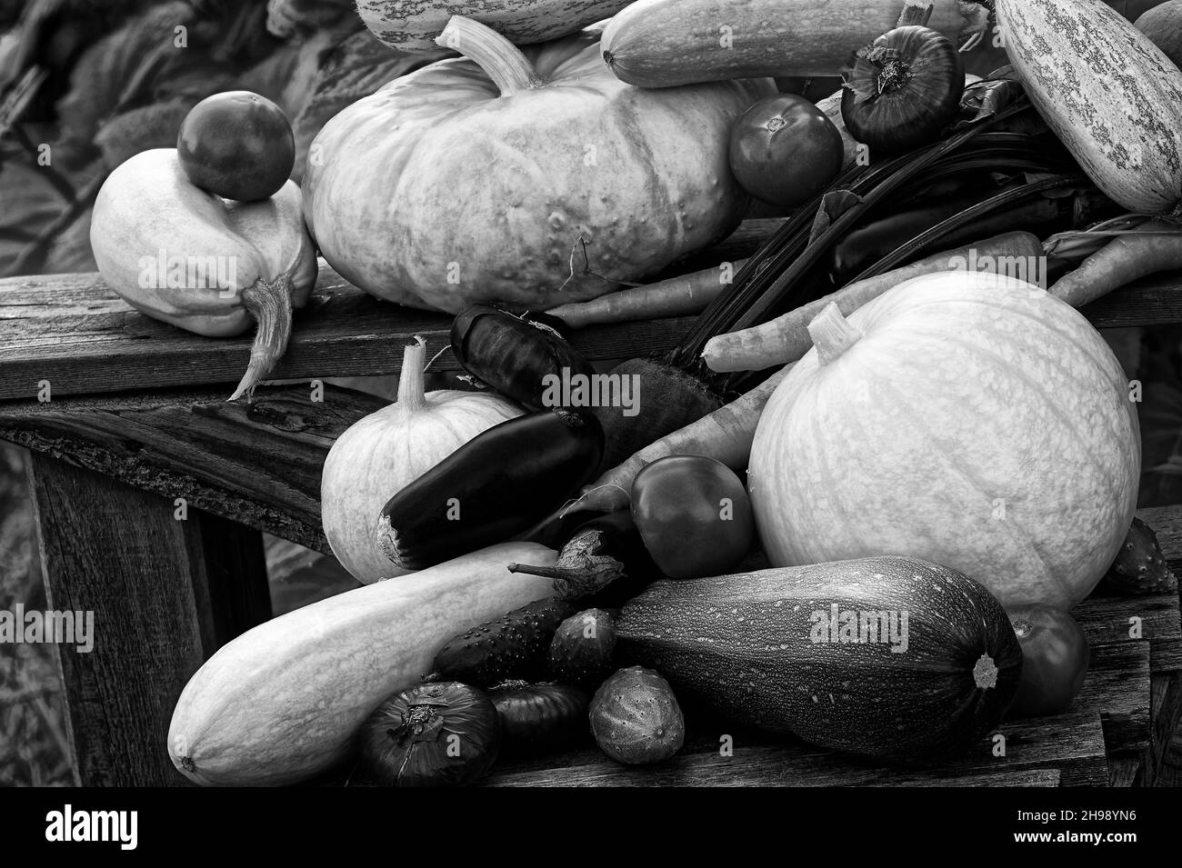 Légumes photo, tomates, oignons, oignons rouges, aubergines, betteraves, citrouilles Banque D'Images