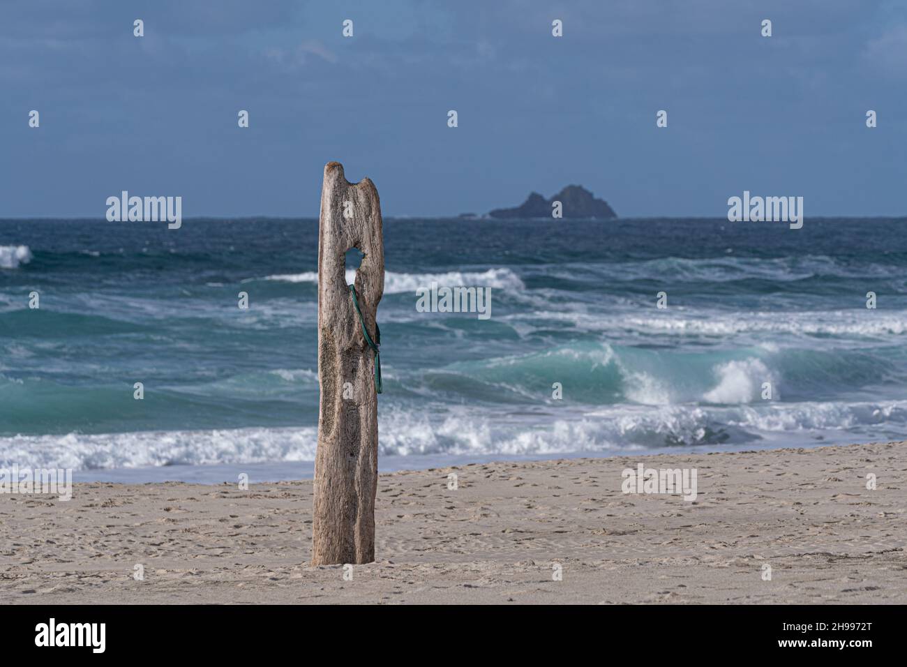 Un vieux morceau de bois gris décalé sortant du sable sur la plage de Sennen Cove à Cornwall avec les îles Brison au loin. Banque D'Images