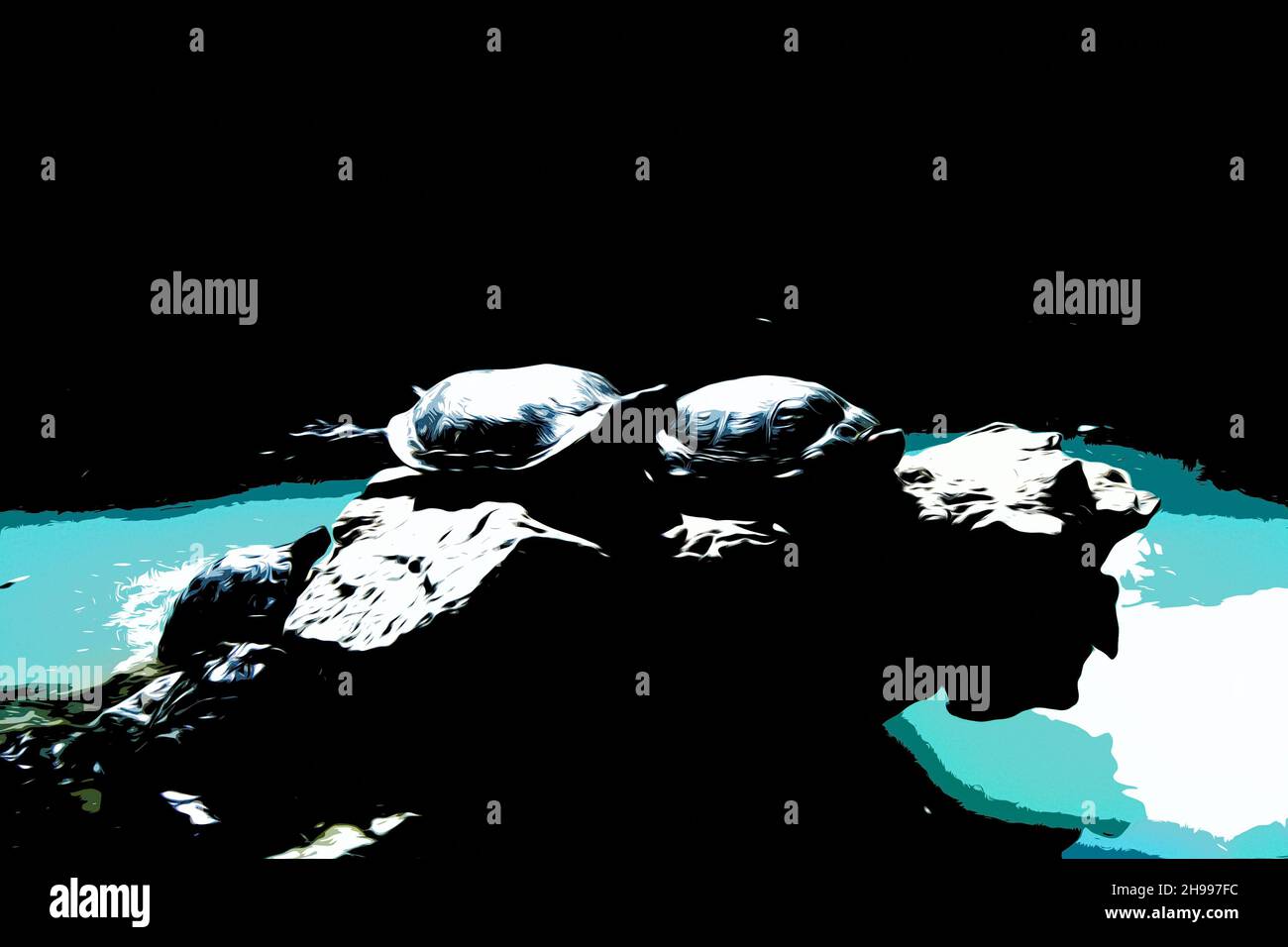 Illustration.Les tortues de mer reposent sur un rocher au bord de l'eau dans un étang du jardin botanique national d'Athènes. Banque D'Images