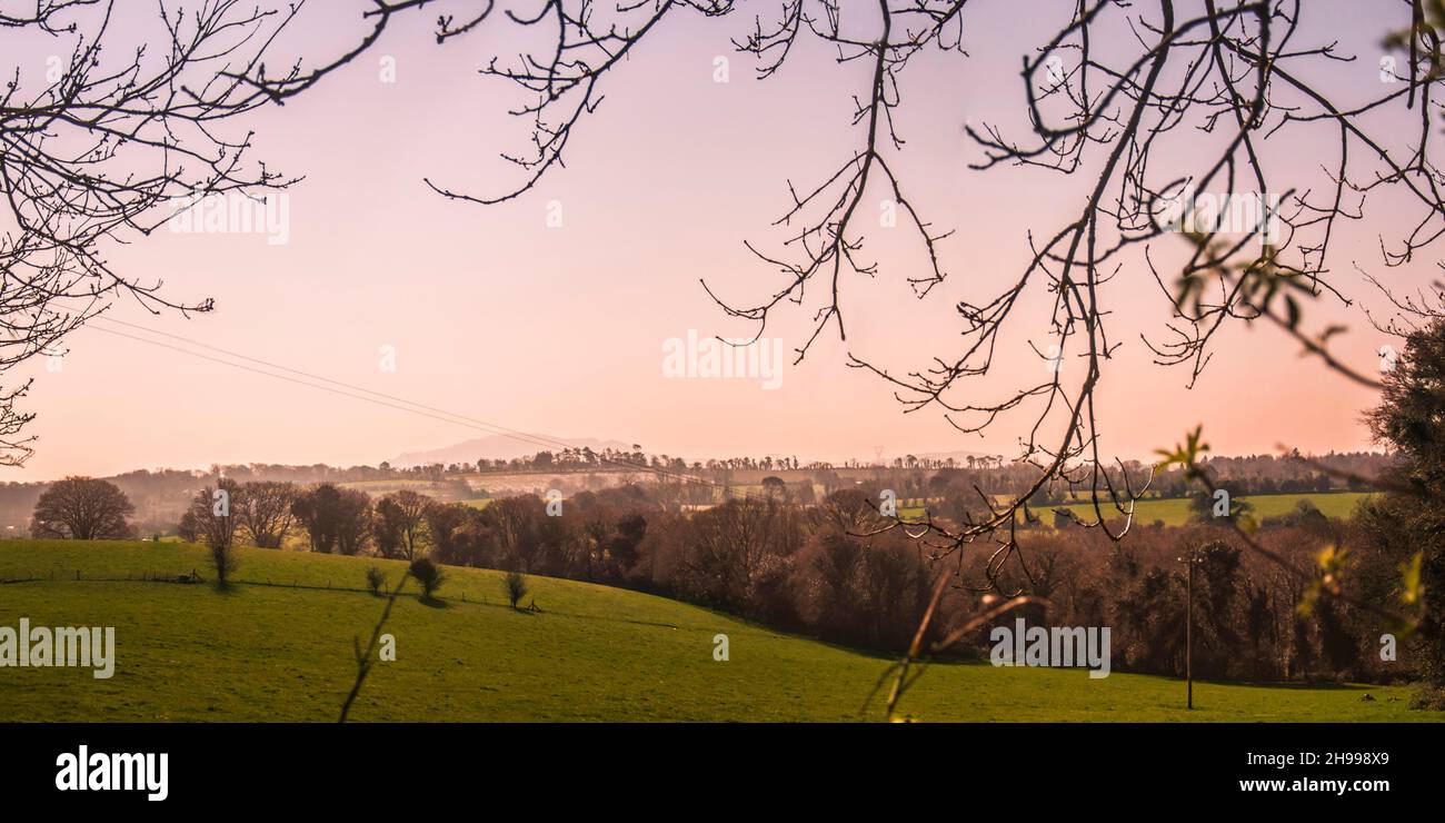 Paysages irlandais.Vue du matin aux environs de North Wexford avec Tara Hill à distance. Banque D'Images