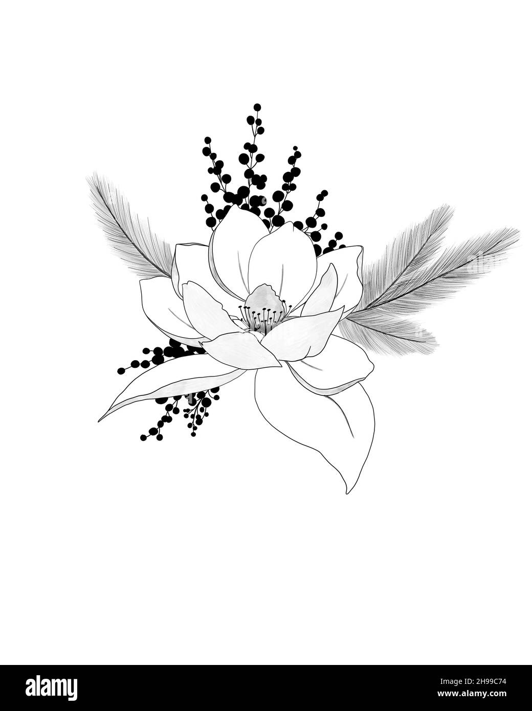 Arrangements de fleurs de Noël avec branches de sapin et branches de Mistletoe Banque D'Images