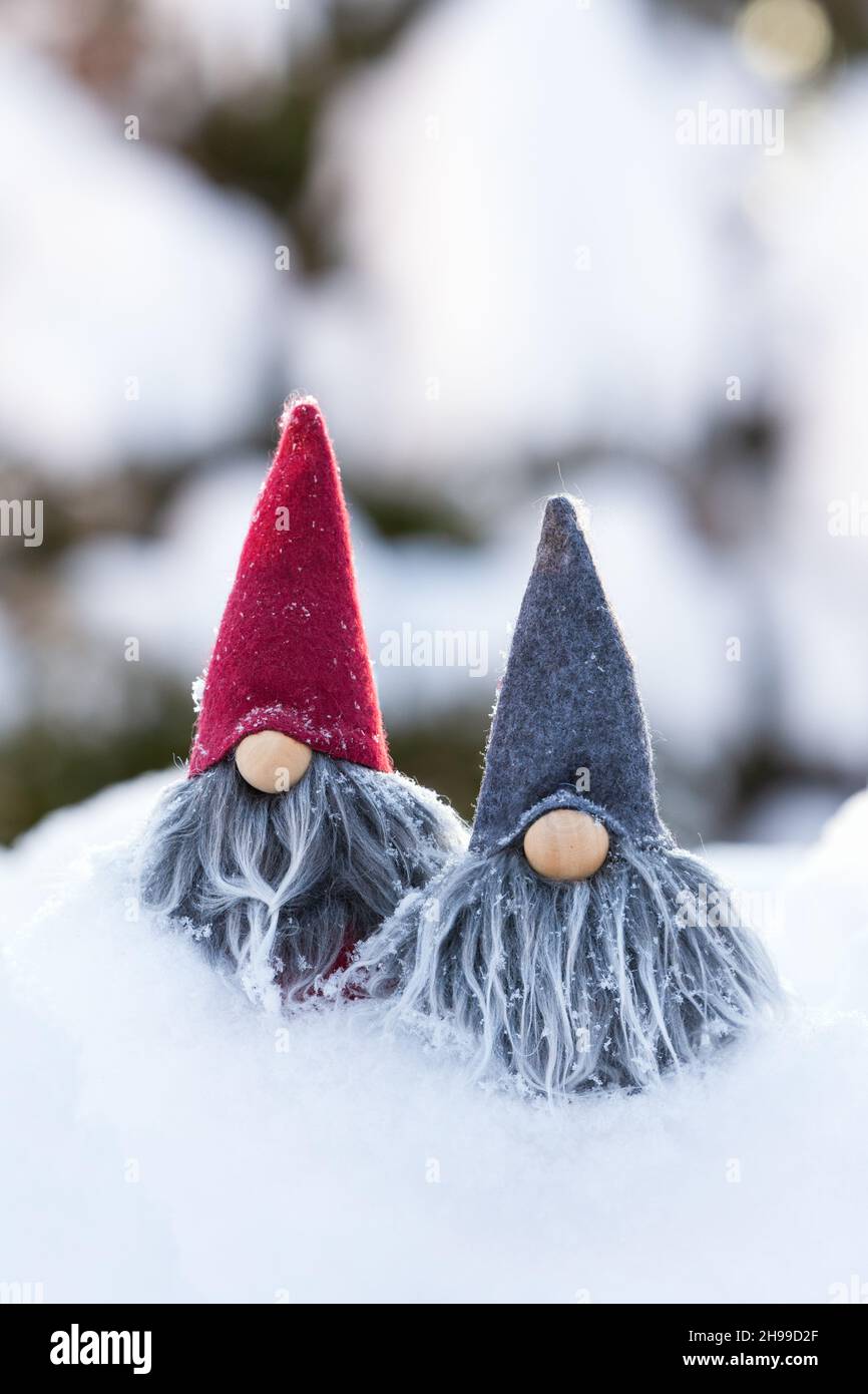 Mignon deux gnomes gris à barbe dans la neige sur fond de forêt d'hiver de bokeh. Banque D'Images