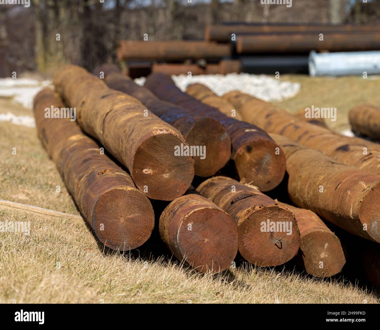 Pile de poteaux électriques en bois prêts à être installés.Concept de mise à niveau et de réparation de l'infrastructure de distribution d'électricité Banque D'Images
