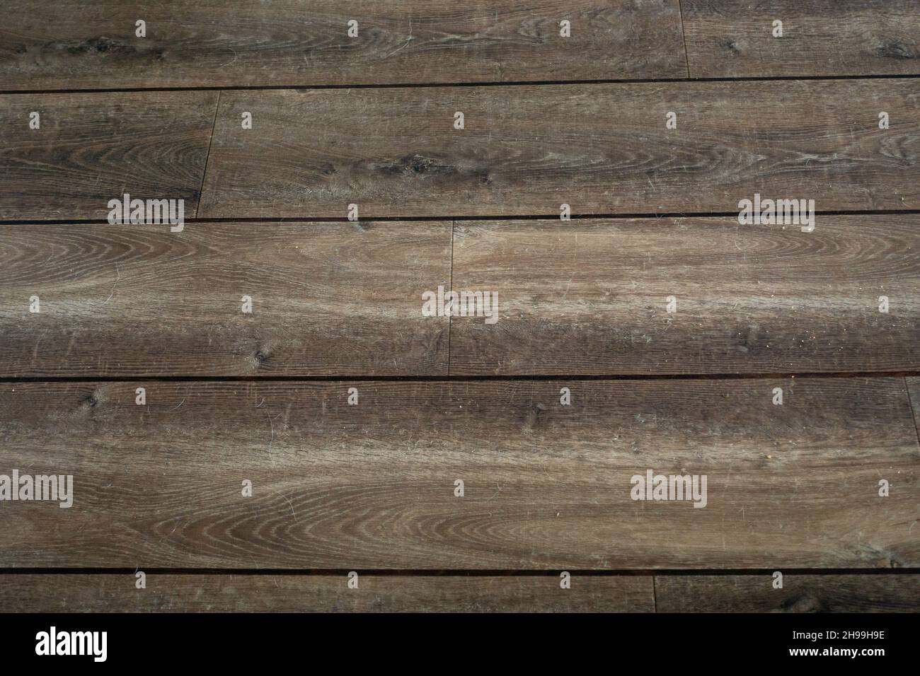 Parquet en frêne, plancher Banque D'Images