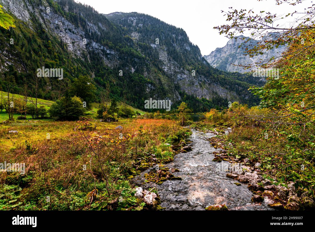 La rivière Saletbach reliant le lac Obersee et le lac Koenigsee dans la vallée de Berchtesgadener, en Allemagne Banque D'Images