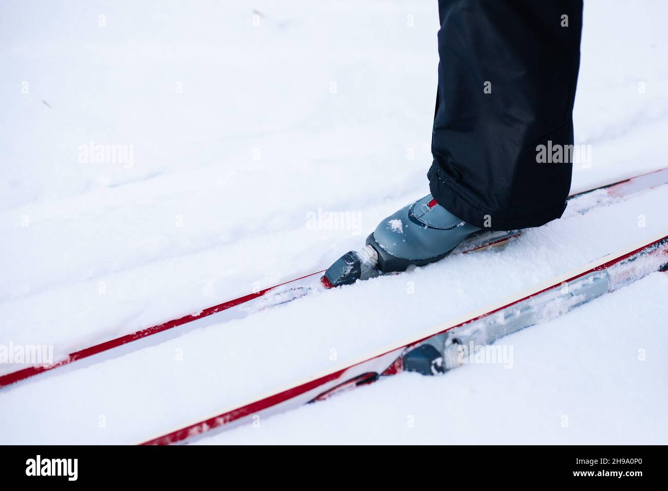 L'homme est le ski.Gros plan des jambes en bottes de ski grises sur les skis, homme en neige par beau soleil, vue latérale Banque D'Images