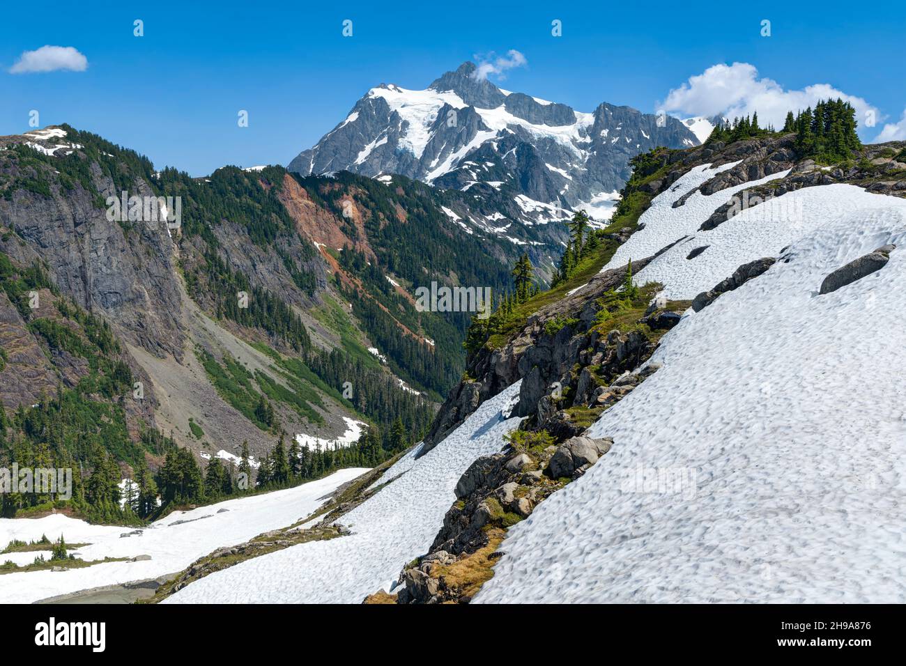 Mont Shuksan, Artist Ridge Trail.Parc national de North Cascades, État de Washington, États-Unis Banque D'Images