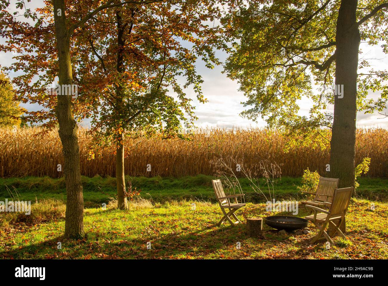 Chaises et poêle à bois dans le jardin avec mazefield dans l'arrière, Hollande Banque D'Images