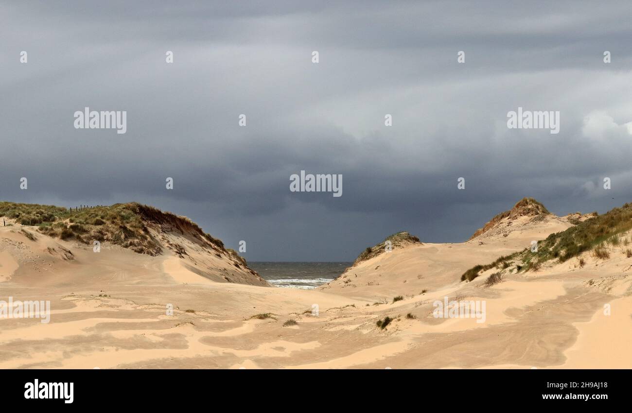 Dunes pour la protection côtière Banque D'Images