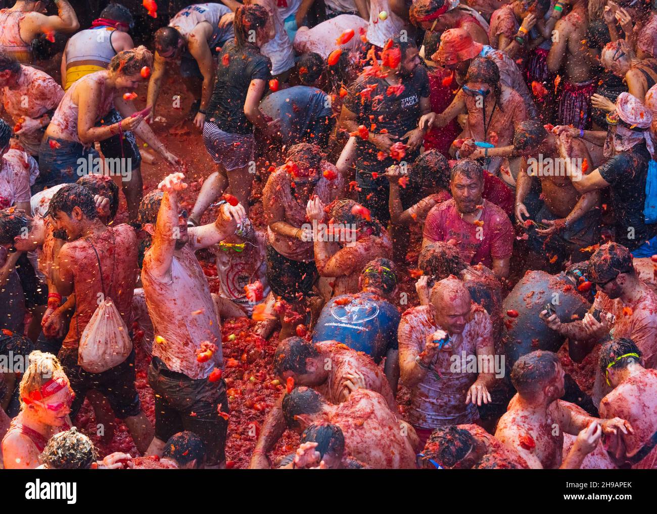 Des gens qui jettent des tomates à la Tomatina (festival de la tomate), Bunol, province de Valence, Espagne Banque D'Images