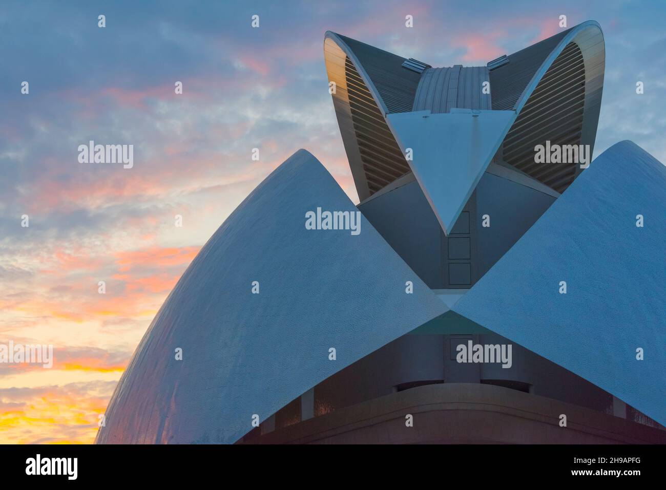 Palau des Arts Renia Sofia (Reina Queen Sofia Palace of the Arts), une partie de la Cité des Arts et des Sciences, Valence, Espagne Banque D'Images
