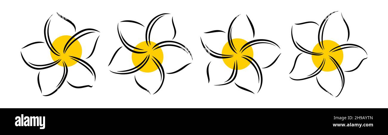 Frangipani ou plumeria fleurs exotiques d'été.Frangipani gravé isolé sur fond blanc.Illustration vectorielle Illustration de Vecteur