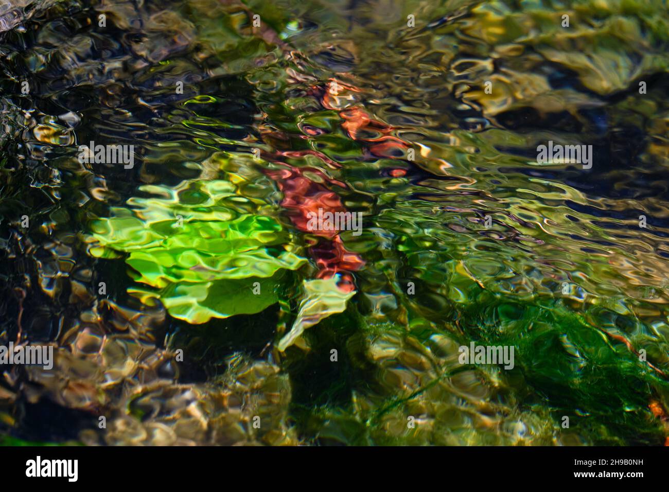 Instable sous l'eau Banque D'Images