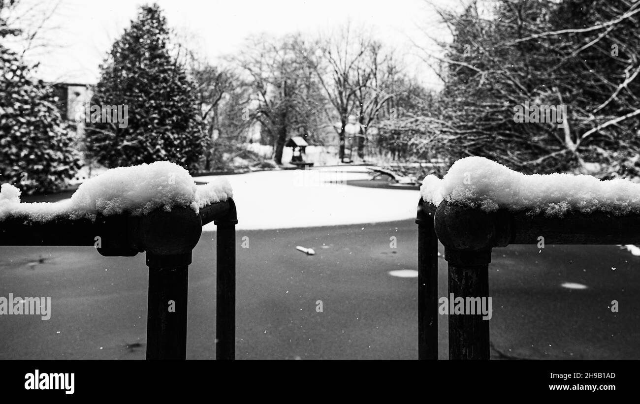 il y a de la beauté partout Banque D'Images
