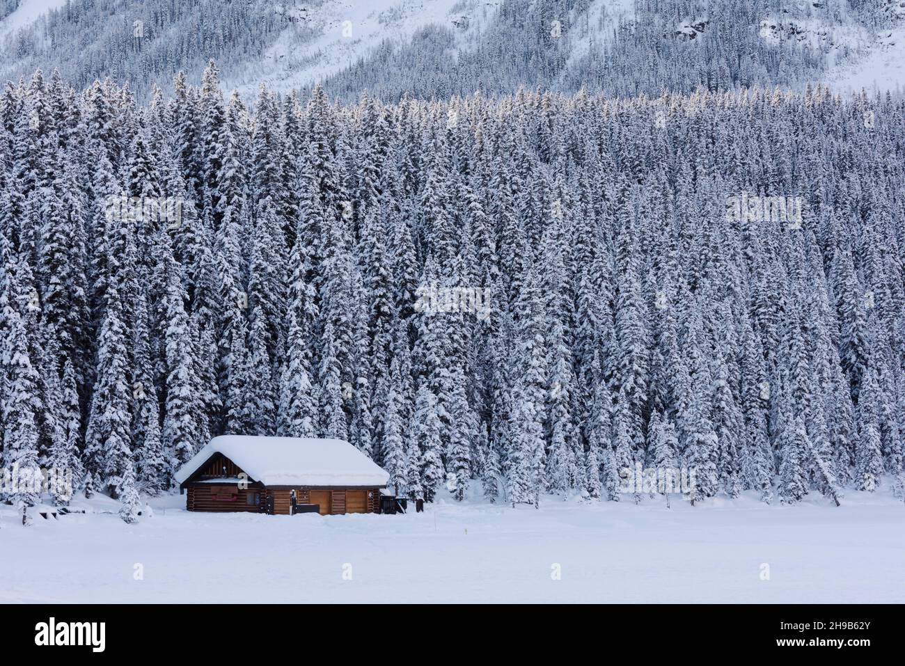 Chalet dans la forêt couverte de neige, Lake Louise, parc national Banff, Alberta, Canada Banque D'Images