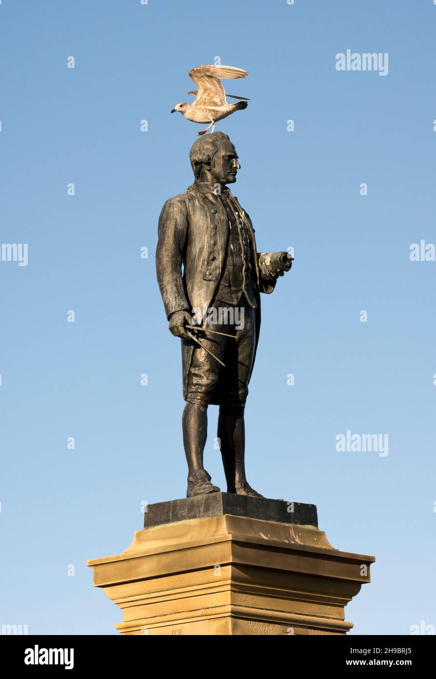 Seagull on Captain Cook, Monument, Whitby, North Yorkshire, Royaume-Uni Banque D'Images
