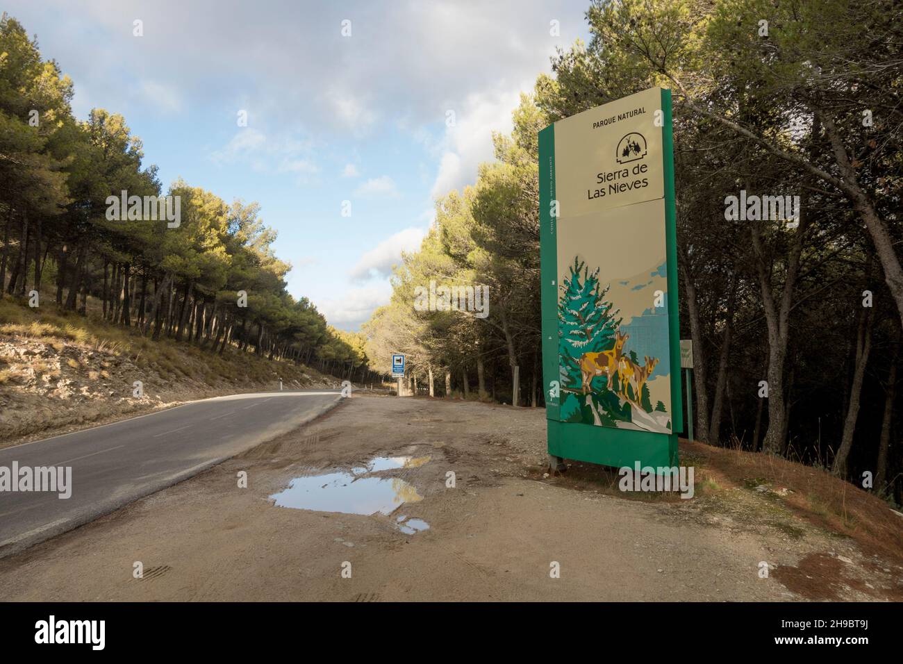 Panneau, Sierra de las Nieves, à côté de la route de Ronda, Andalousie, Espagne. Banque D'Images