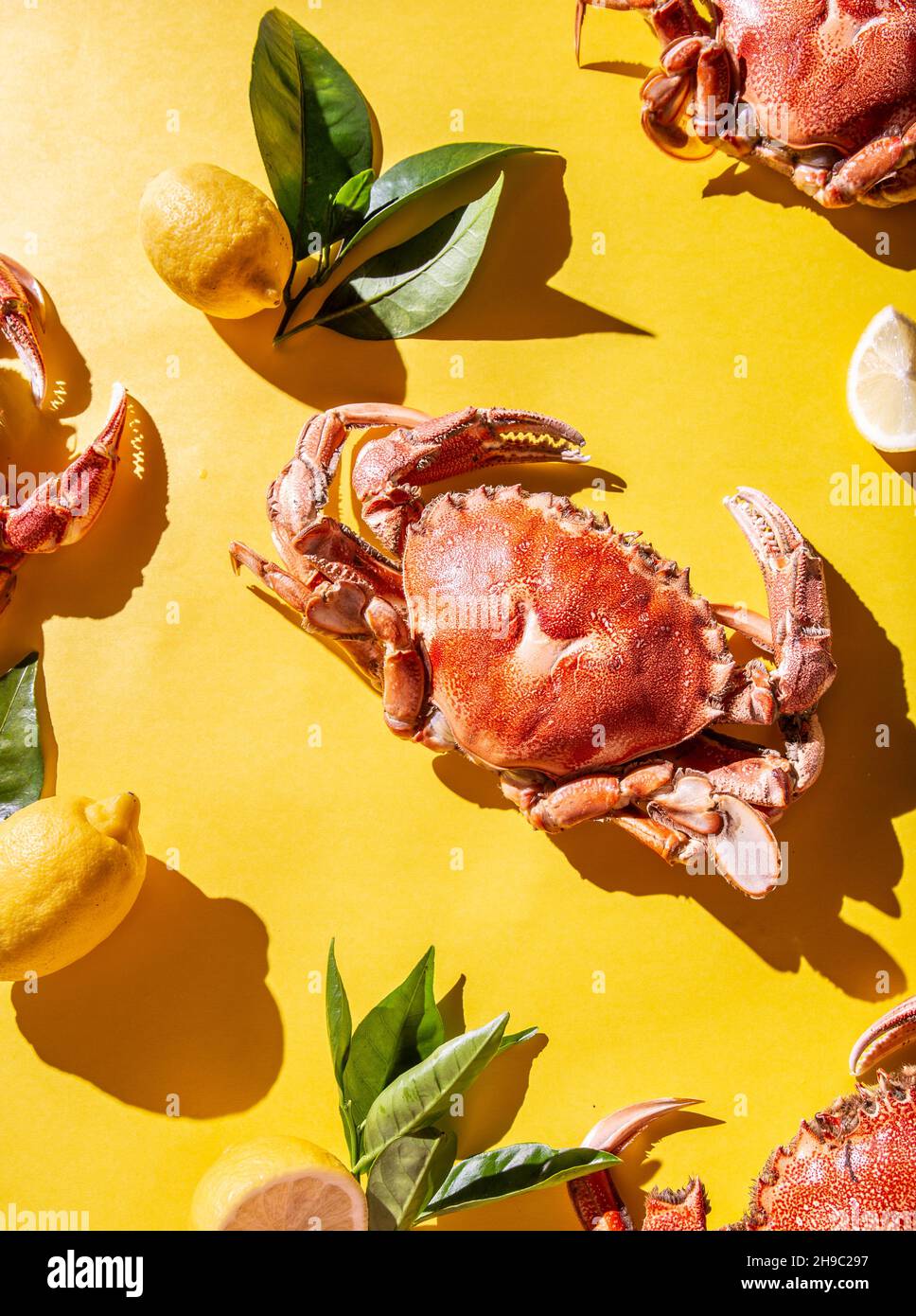 Crabes cuits sur fond de llelow avec des citrons frais.Vue de dessus, répétition. Banque D'Images