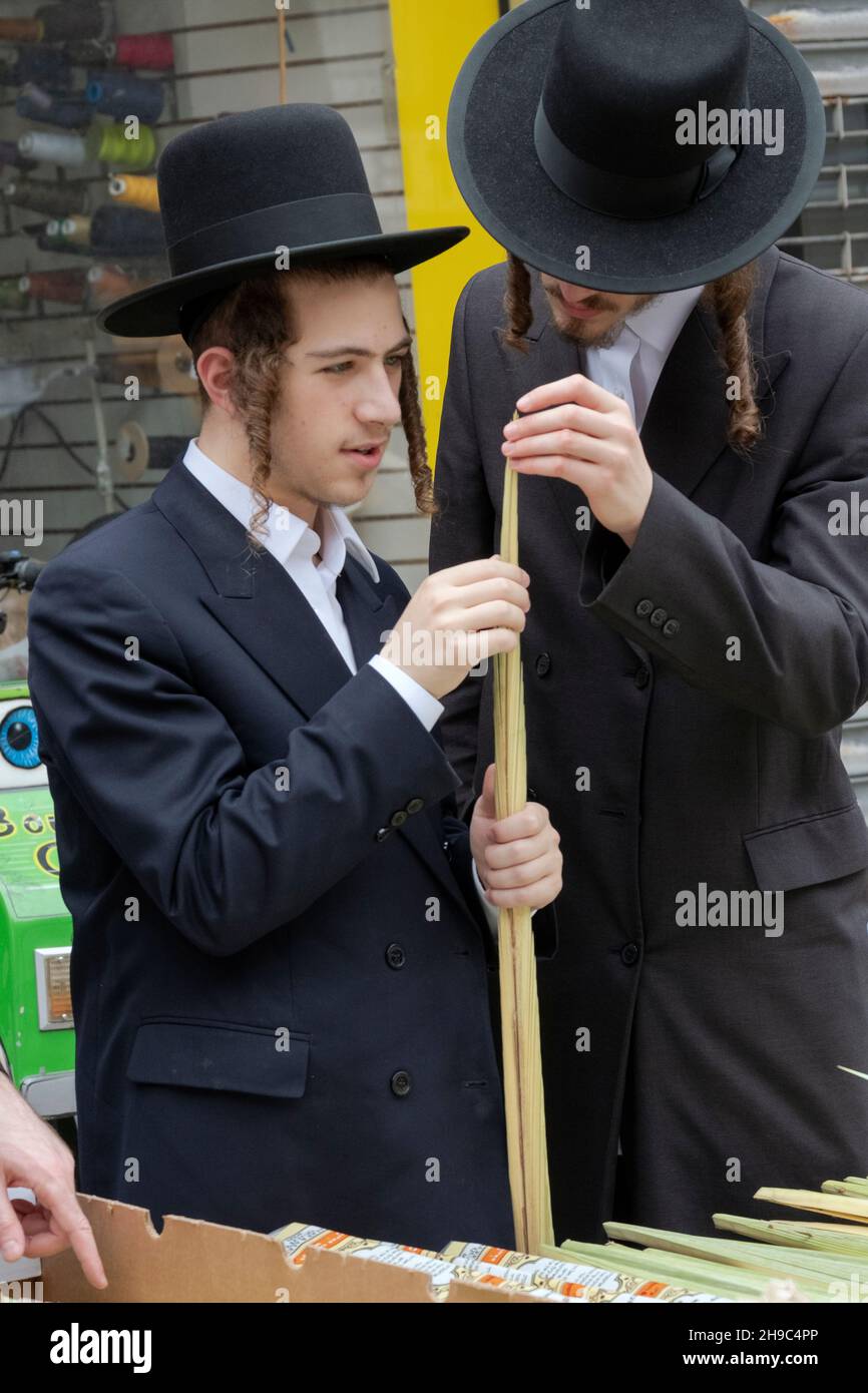 Avant les vacances de Sukkot, 2 hommes juifs orthodoxes inspectent une façade de palmier qui est utilisée dans les rituels de vacances.Sur Lee Ave. À Williamsburg, Brooklyn, New York. Banque D'Images