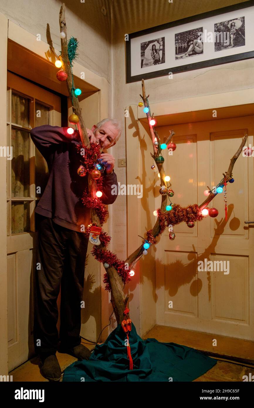 homme mature décorant non traditionnel style moderne arbre de noël à la maison fait de branche d'arbre mort Banque D'Images