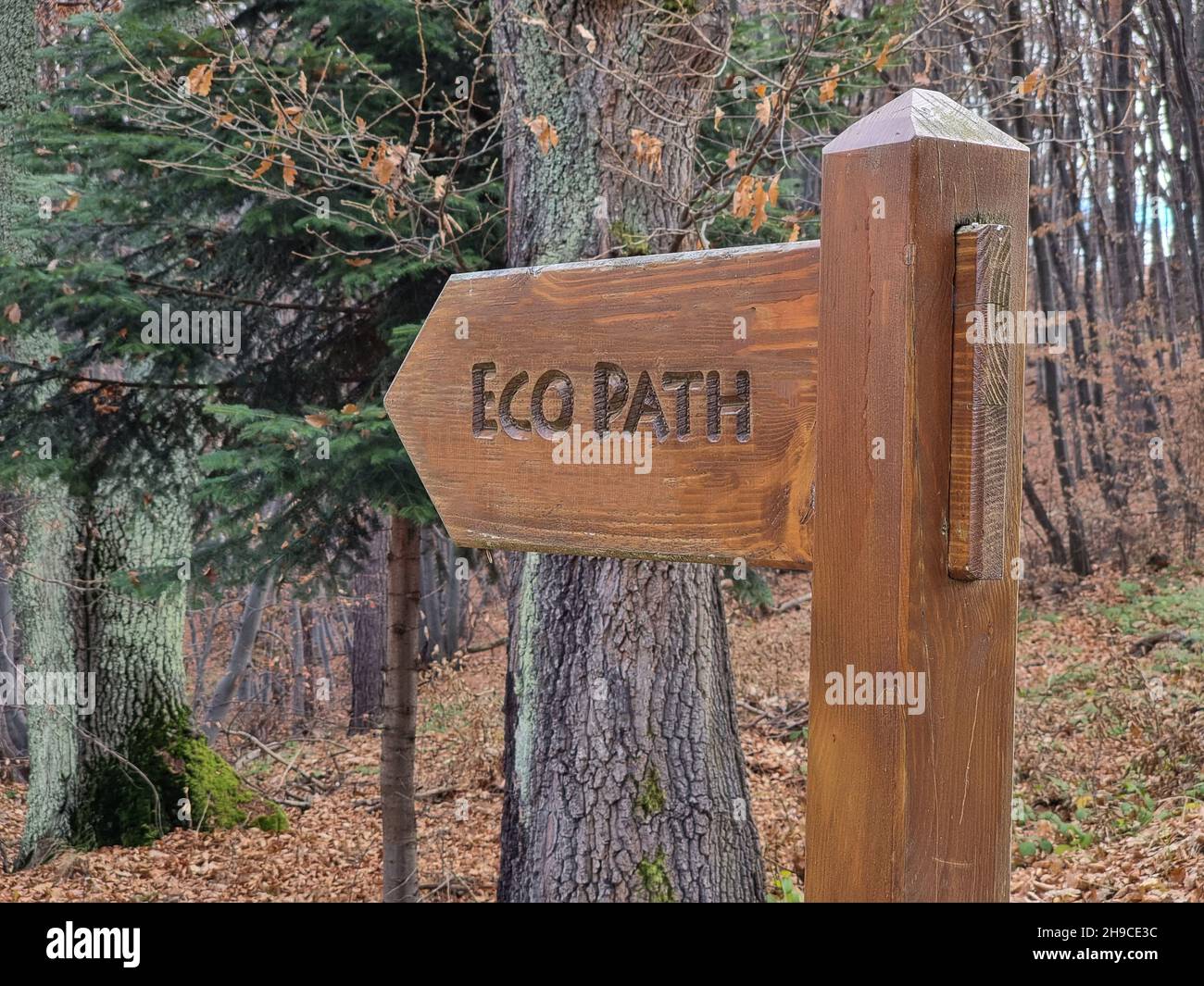 Panneau de chemin en bois montrant le chemin écologique dans la forêt Banque D'Images