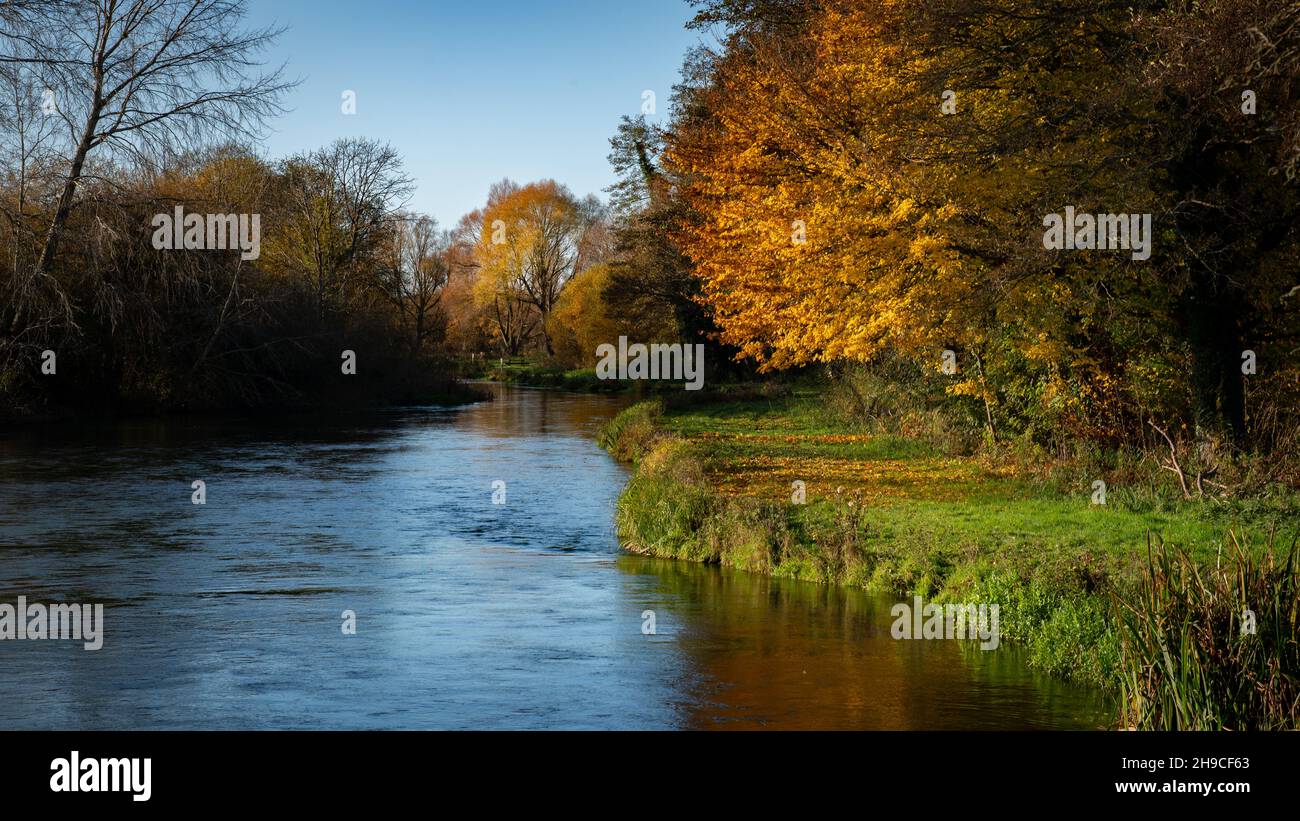 Couleurs d'automne par le River Test, Hampshire Banque D'Images