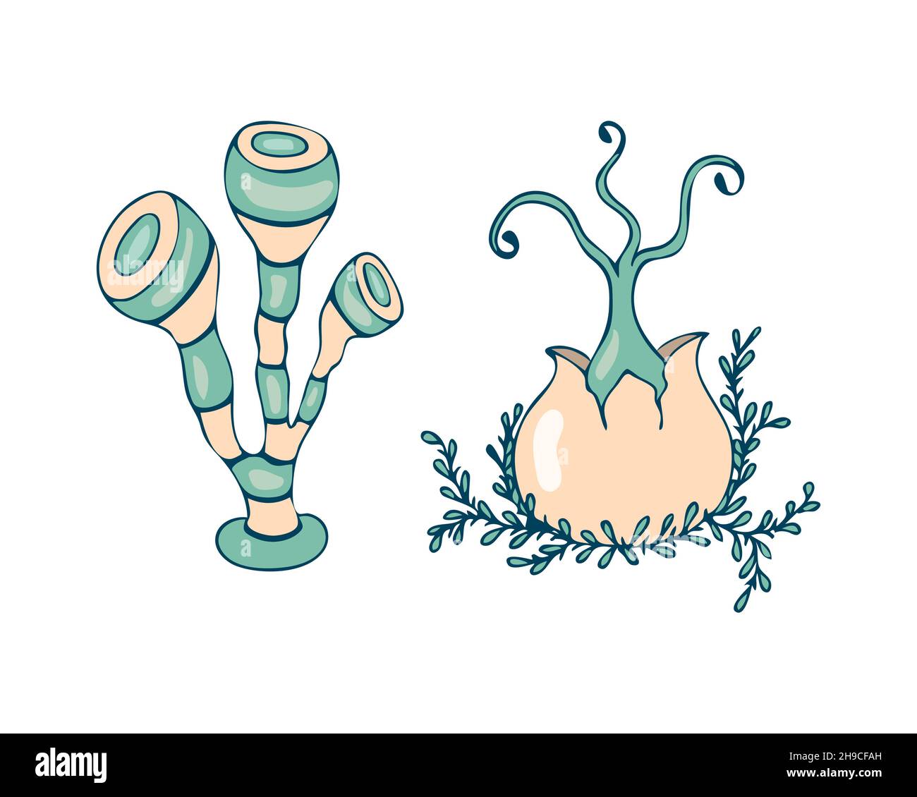 Des champignons fantastiques et irréalistes, dessinant à la main, sur fond blanc et isolé.Illustration vectorielle Illustration de Vecteur