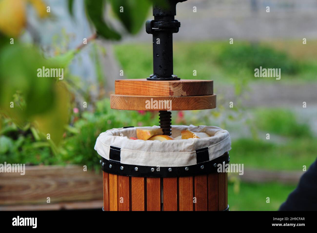Préparez la production traditionnelle de jus de cidre avec une centrifugeuse en bois en Allemagne.Presse remplie de pommes Elster de culture biologique (Malus domestica) Banque D'Images