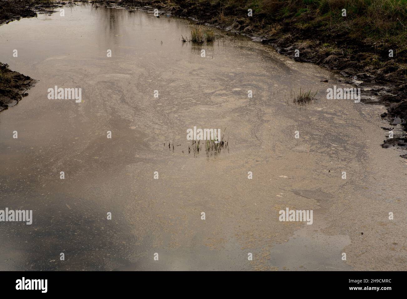 Eau sale. Catastrophe écologique, la rivière est polluée de déchets par des bouteilles en plastique avec pneus de roue, huile moteur. Banque D'Images