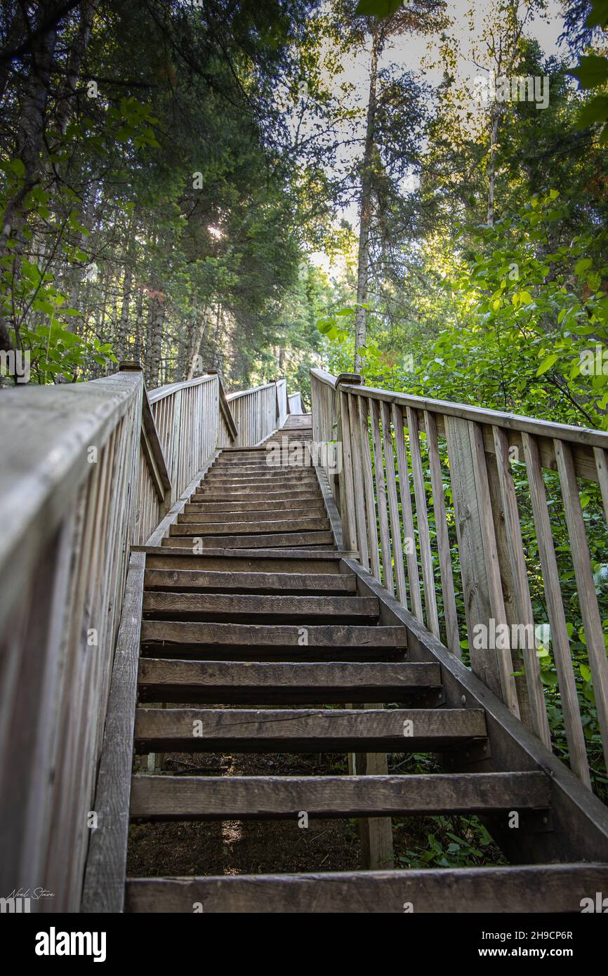 Vue sur un escalier en bois Banque D'Images