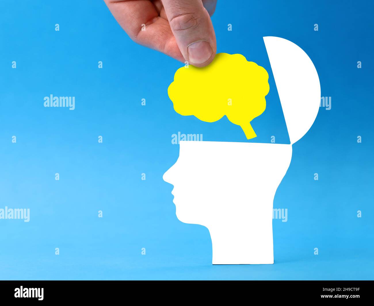 Main mettant le cerveau dans la tête ouverte sur fond bleu, nouvelle et créative image conceptuelle de pensée avec l'espace de copie Banque D'Images