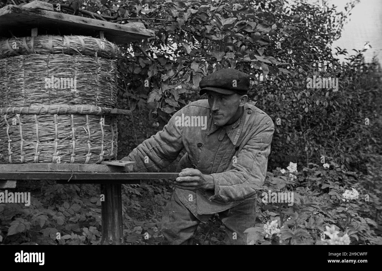 Polska, 1947-09.Hodowla pszczó³ nous wsi Radoszki.NZ. Tradycyjna baræ. po/ms PAP/Jerzy Baranowski Dok³adny dzieñ wydarzenia nieustalony.Pologne, septembre 1947.Apiculture dans le village de Radoszki.Photo : une ruche traditionnelle. po/ms PAP/Jerzy Baranowski Banque D'Images