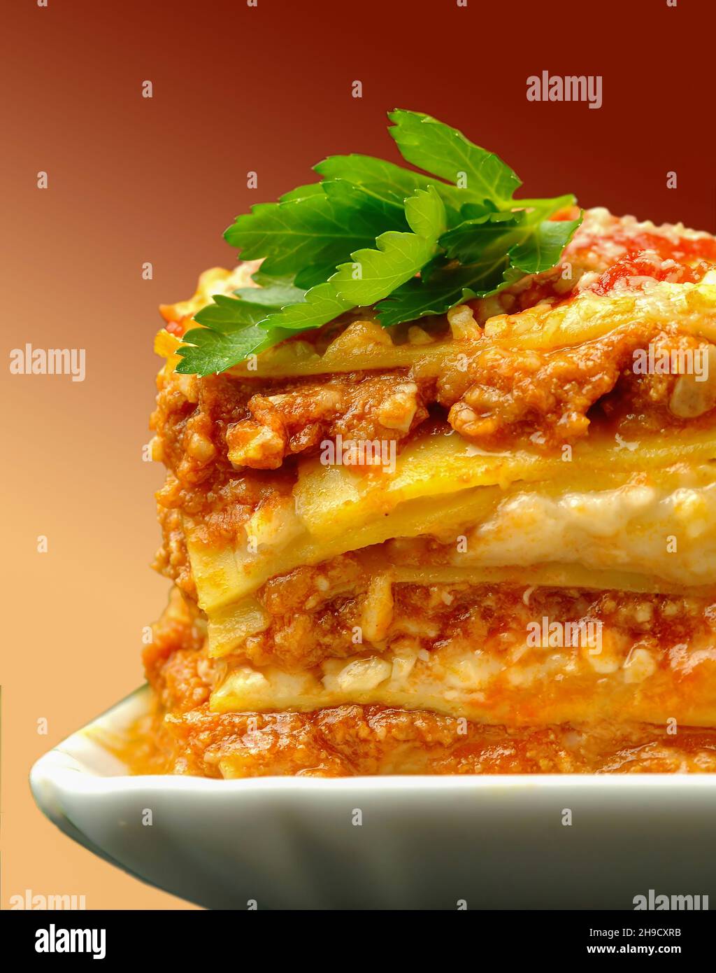 Gros plan de lasagnes italiennes Banque D'Images
