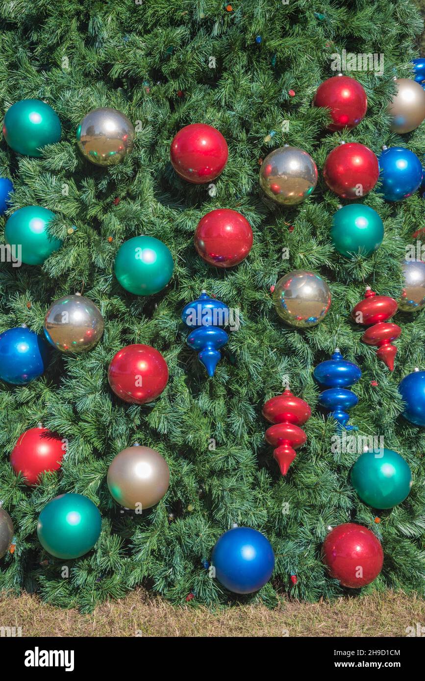 Arbre de Noël public en cours de décoration à Alachua, Floride. Banque D'Images