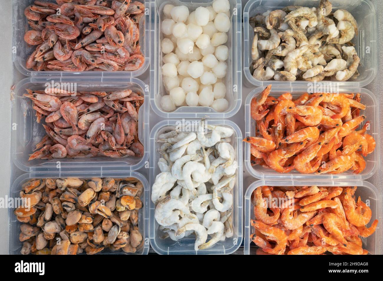 Fruits de mer surgelés au réfrigérateur au marché aux poissons.Alimentation saine et concept de marché du poisson Banque D'Images