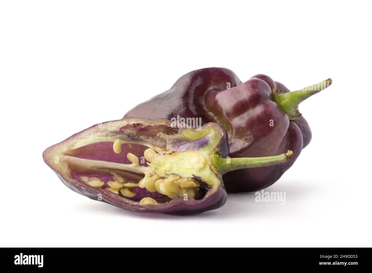 piment habanero violet, fruit entier et une tranche isolée sur fond blanc, macro gros plan Banque D'Images