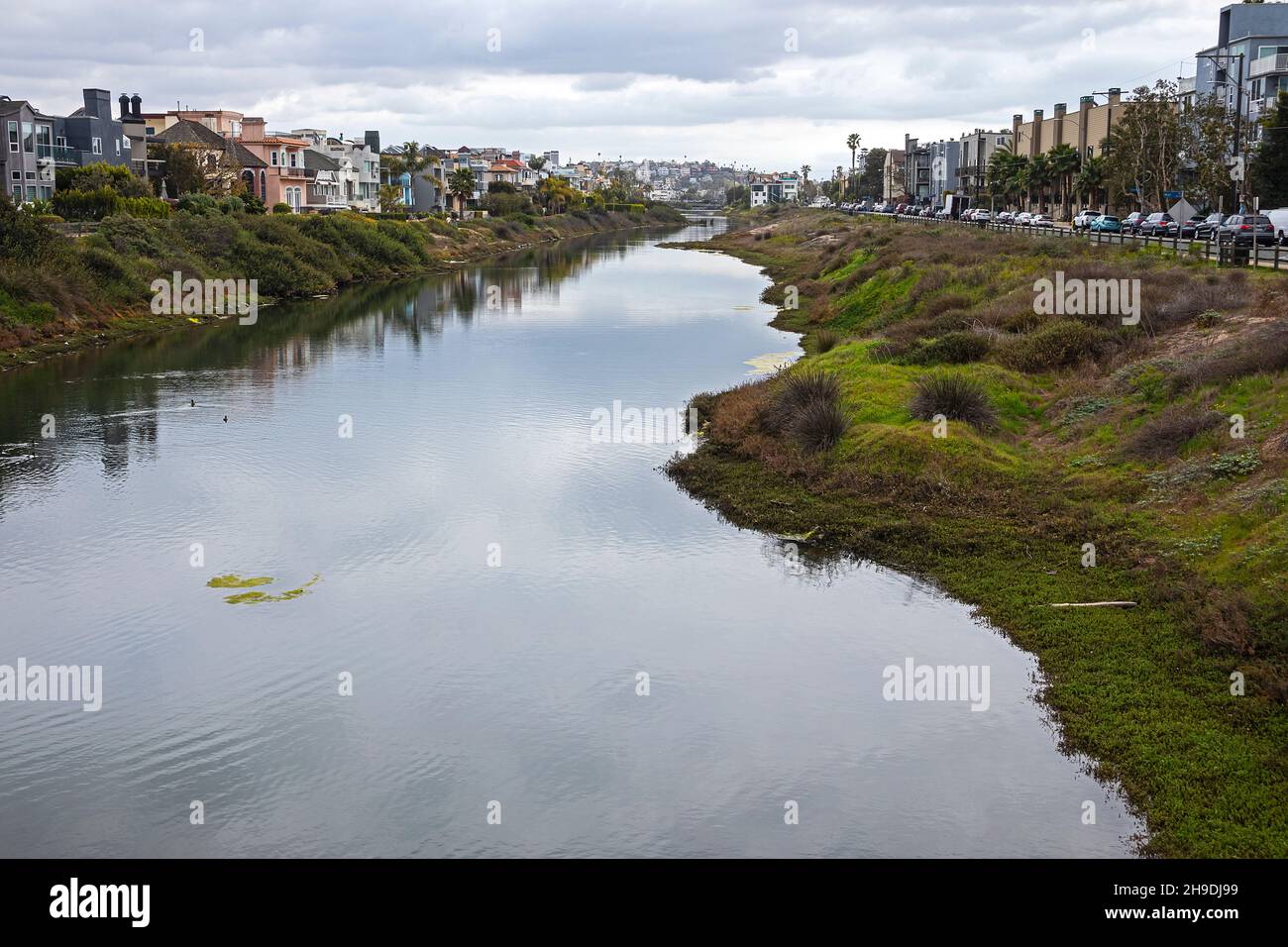Le lagon de Ballona faisait autrefois partie du bassin hydrographique du ruisseau Ballona et était relié aux terres humides de Ballona avant que la plupart des terres humides ne soient de dred Banque D'Images