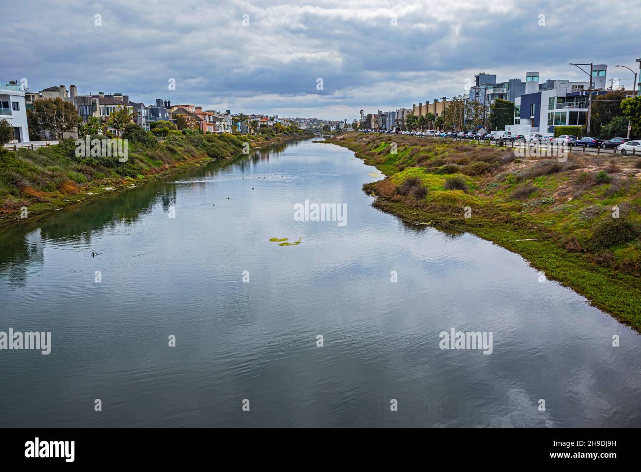 Le lagon de Ballona faisait autrefois partie du bassin hydrographique du ruisseau Ballona et était relié aux terres humides de Ballona avant que la plupart des terres humides ne soient de dred Banque D'Images