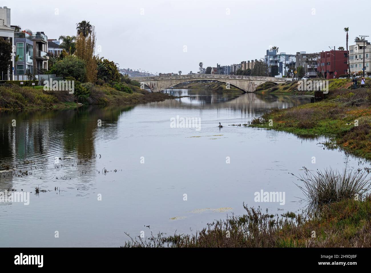Le lagon de Ballona faisait autrefois partie du bassin hydrographique du ruisseau Ballona et était relié aux terres humides de Ballona avant que la plupart des terres humides ne soient de dred Banque D'Images