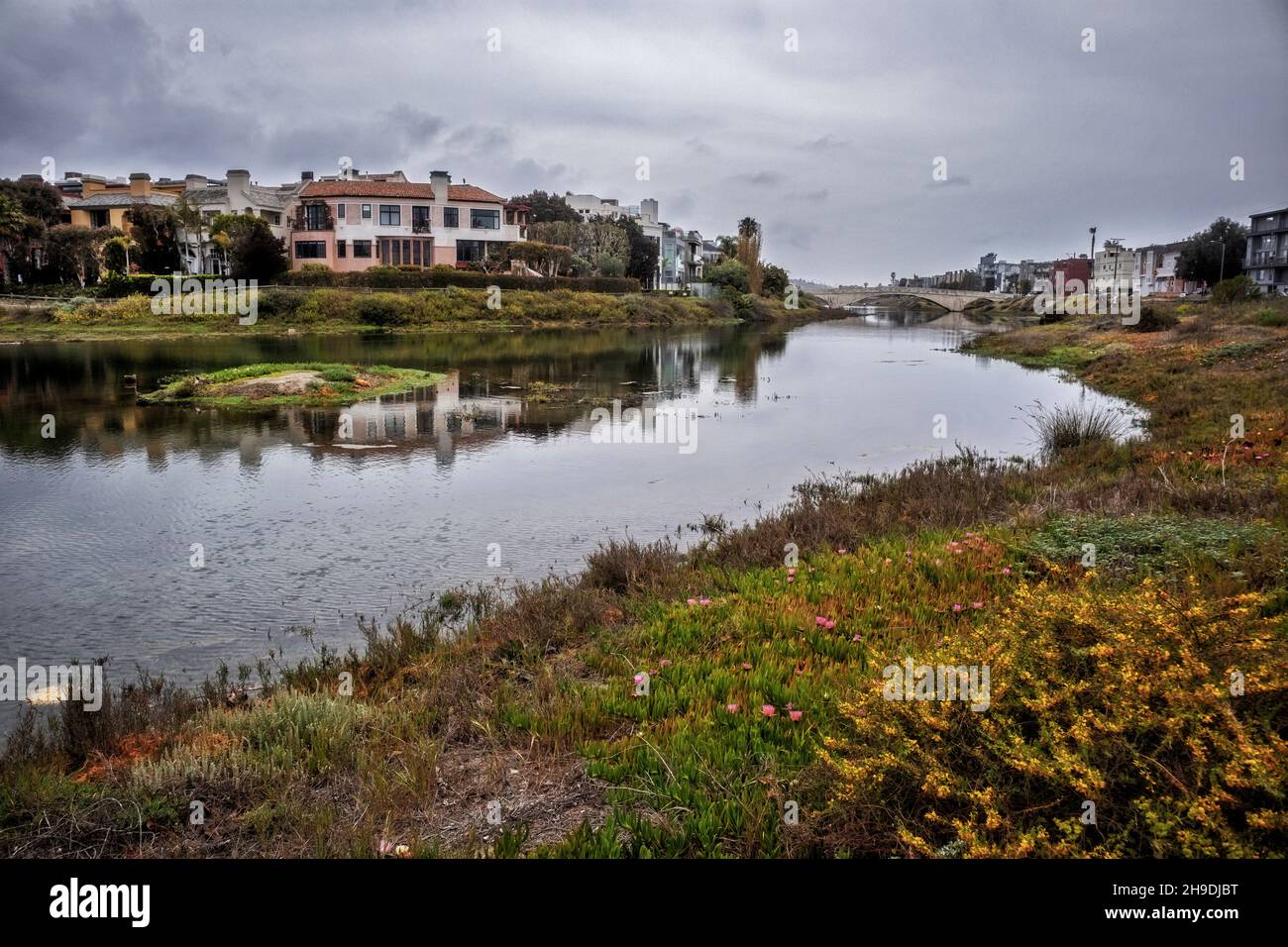 Le lagon de Ballona faisait autrefois partie du bassin hydrographique du ruisseau Ballona et était relié aux terres humides de Ballona avant que la plupart des terres humides ne soient de dred Banque D'Images