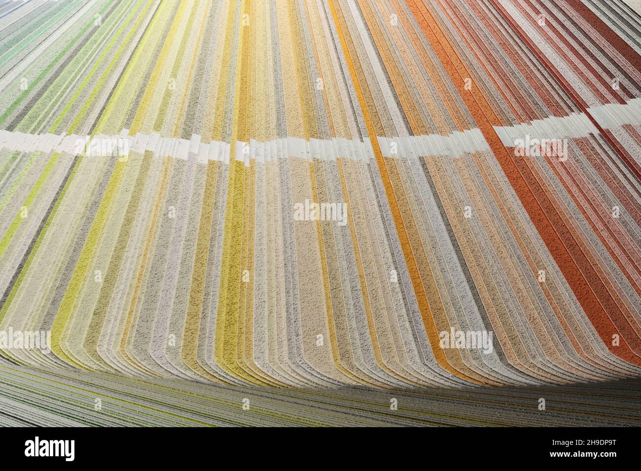 terrasse de ventilateur de couleur avec gamme de peinture de façade Banque D'Images