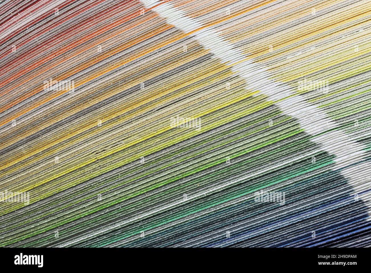 terrasse de ventilateur de couleur avec gamme de peinture de façade Banque D'Images